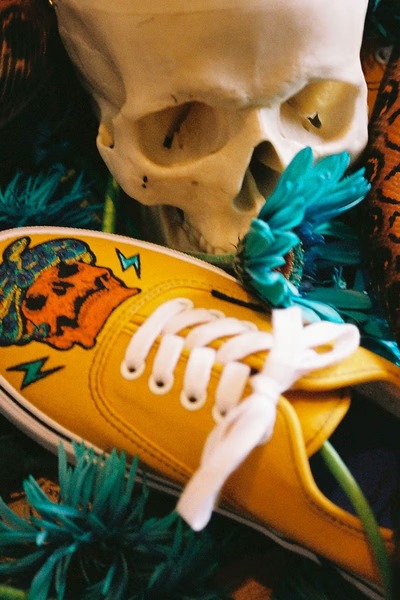 Vans is undoubtedly unafraid to reframe their classics